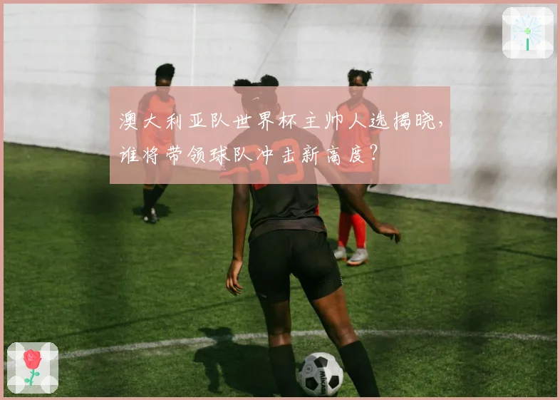 澳大利亚队世界杯主帅人选揭晓，谁将带领球队冲击新高度？