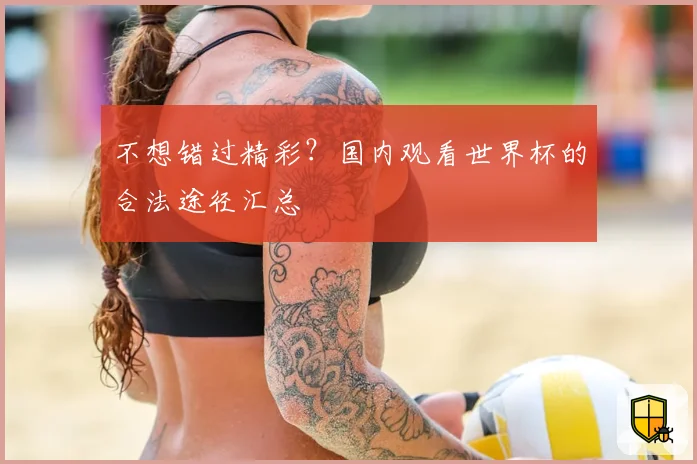不想错过精彩？国内观看世界杯的合法途径汇总